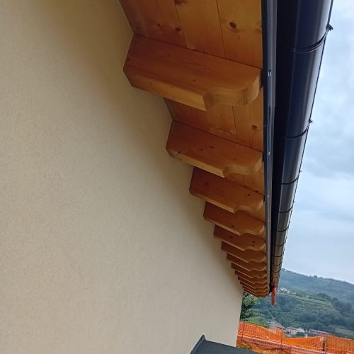 WhatsApp Image 2026-02-17 at 12.31.43 (1)