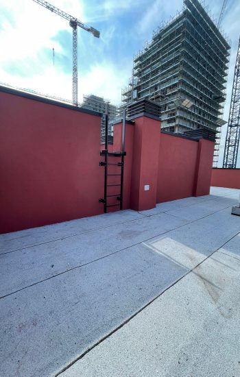 WhatsApp Image 2026-02-17 at 12.31.42 (1)