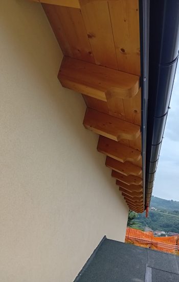 WhatsApp Image 2026-02-17 at 12.31.43 (1)