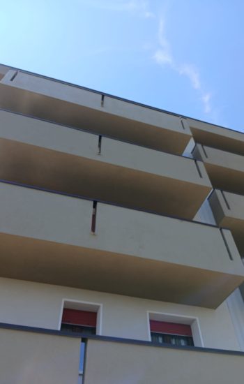 WhatsApp Image 2026-02-17 at 12.31.43 (6)